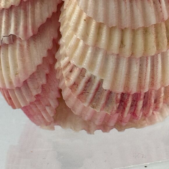 Vtg Handmade Seashell Art Figurine Bride Doll Folk Art Pink Nautical Kitschy - Picture 7 of 10